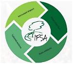 Sotwe Ifsa: Exploring Origins & Impact in the Community & Finance
