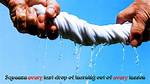 Squeeze out Every Last Drop Daily Themed Crossword Answer |