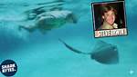 Stingray Steve Irwin: the Legacy of a Wildlife Warrior