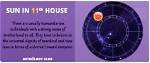 Sun in 11Th House Meaning: Humanitarian and Merciful ·