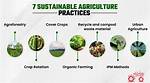 Sustainable Agriculture at Its Finest