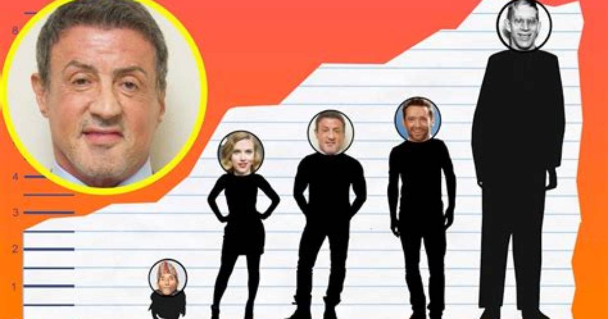 Sylvester Stallone's Height: a Closer Look at the Iconic Actor