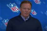 Take a Look at Roger Goodell’s Children – Proud Father of Twin Daughters