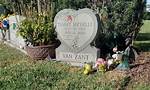 Tammy Van Zant Death from an Illness