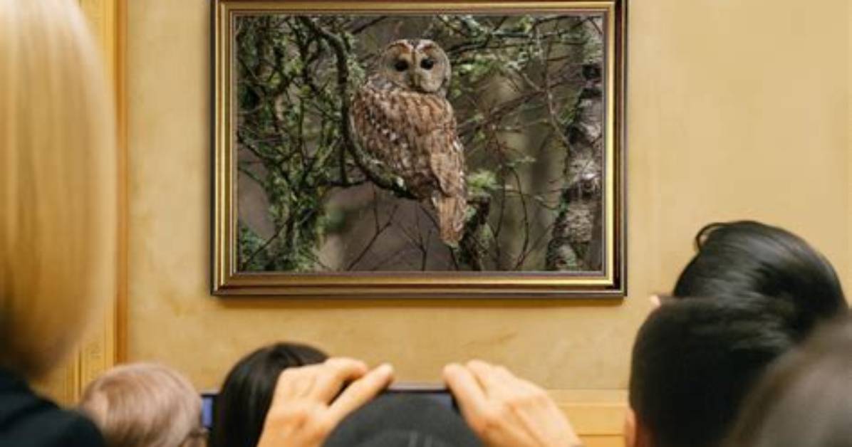 Tawny Kitsen: the Enigmatic Feline of the Wilderness