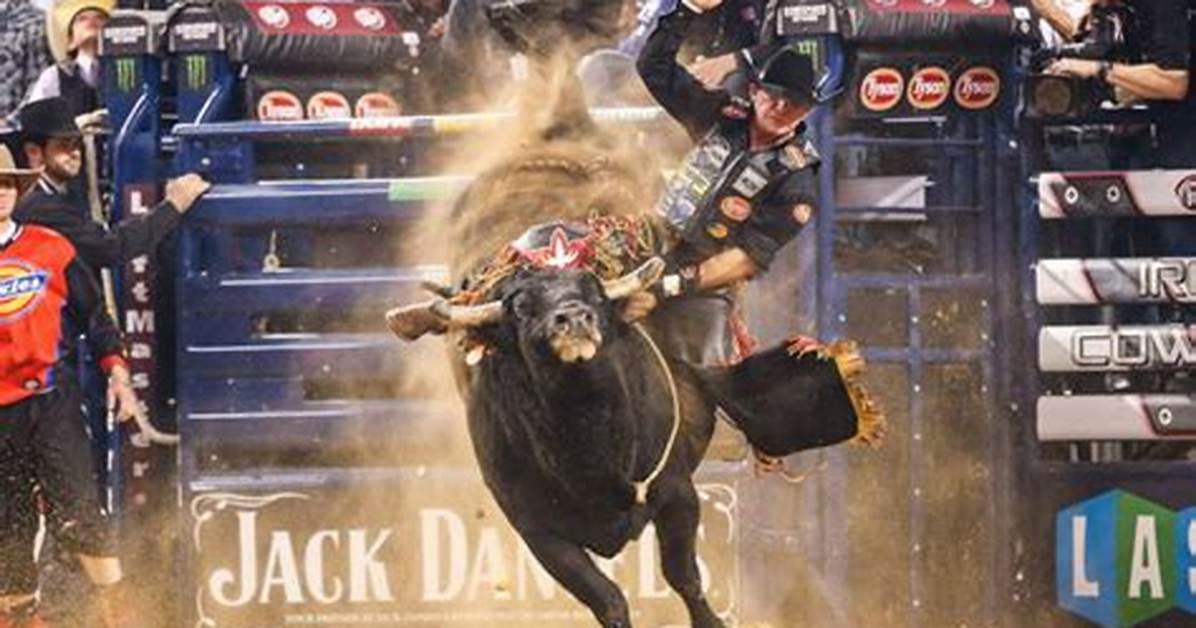Texas Rattlers Rodeo Champion Caps Season with Thrilling Bull Ridingvictory