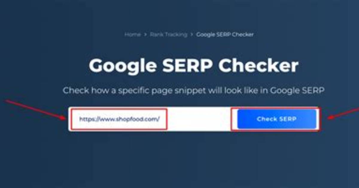 The All-in-One Serp Position Checker: Track Your Website's Visibility