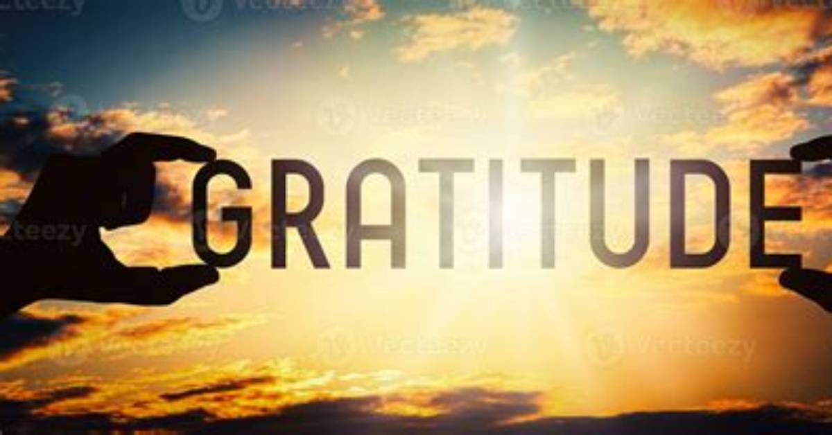 The Art of Gratitude and Connection in "Thank You for Your Accommodation"