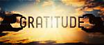 The Art of Gratitude and Connection in "Thank You for Your Accommodation"