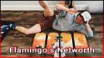 The Blonde Flamingo Net Worth 2024 |