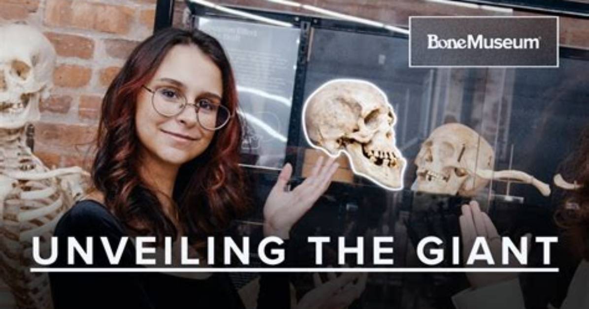 The Enigma of the Giant Skeleton: Unveiling the Truth Behind the Myths