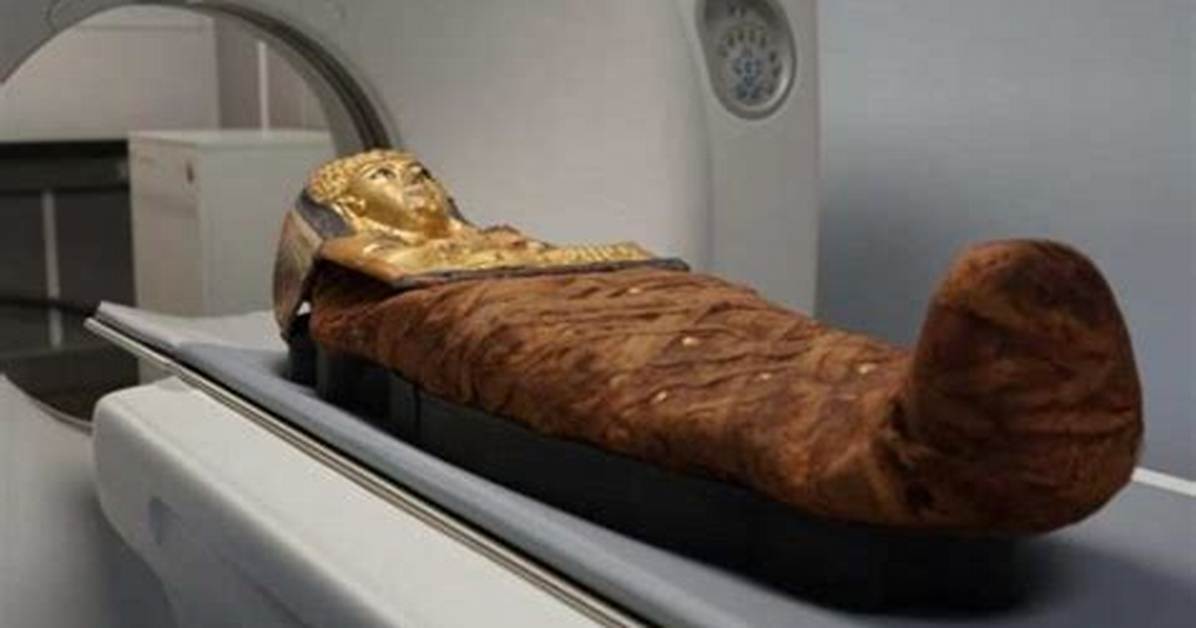 The Fascinating World of Mummy Casts: Unlocking the Secrets of the Past