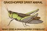 The Grasshopper Spirit Animal | Snogblogy