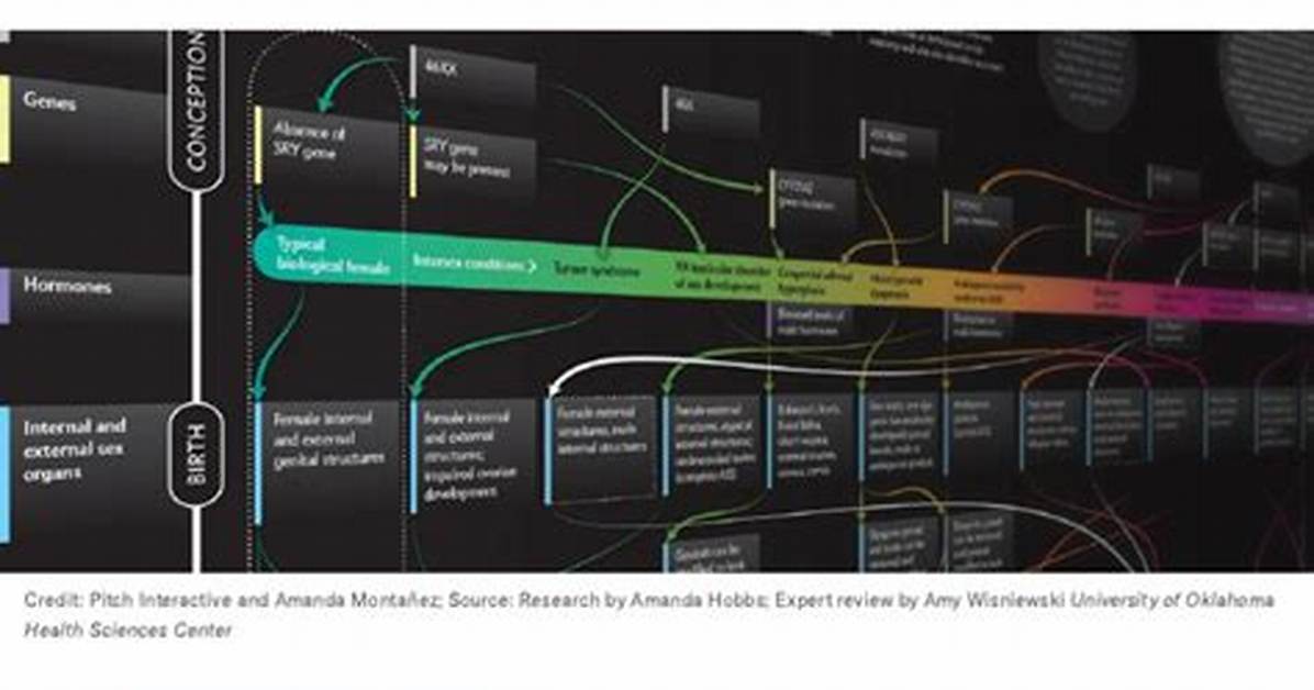 The Intricacies of Sex Mms: Understanding and Navigating the Digital Landscape