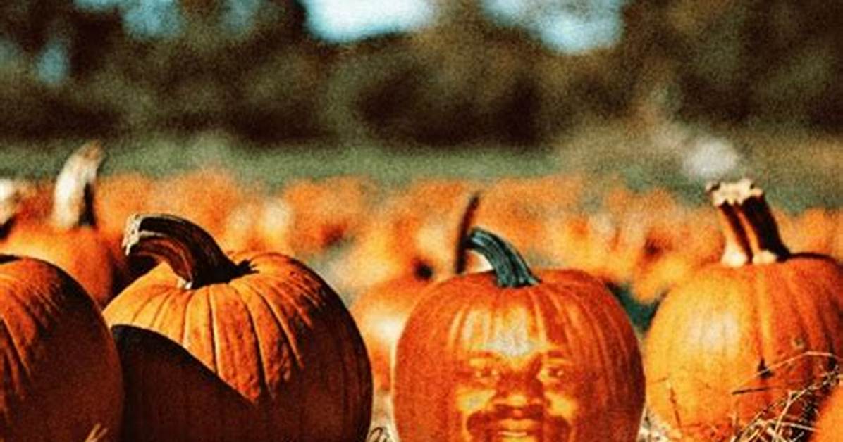 The Jack O Lantern Shaq: a Spooktacular Fusion of Fun and Fantasy