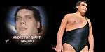 The Legacy of Andre the Giant's Daughter