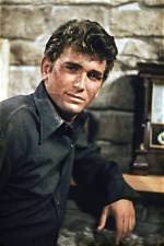 The Legacy of Michael Landon Explored
