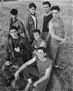 The Remarkable Journey of Matt Dillon in "The Outsiders"