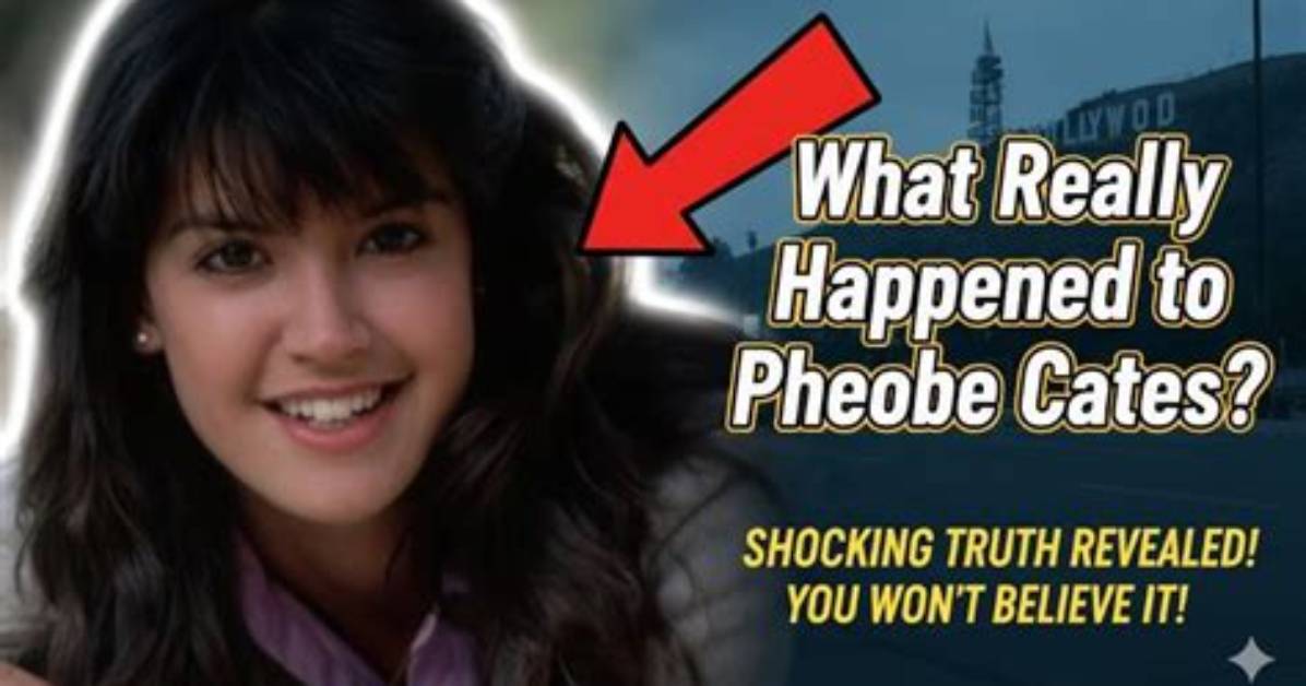 The Shocking Truth Behind Her Disappearance |