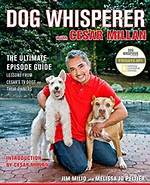 The Ultimate Guide to Ilusion Millan, Cesar Millan's Former Wife