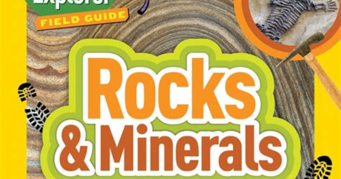 The Ultimate Guide to the Rocks Children