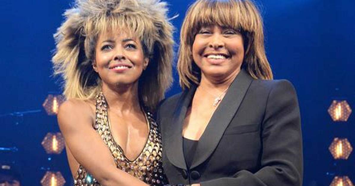 Tina Turner's Talented Daughter: the Story of Ronnie Turner, the Singer