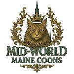 Uncover the Enchanting World of Maine Coons in New York City