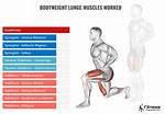 Uncover the Muscle Groups Targeted by Lunges: a Comprehensive Guide