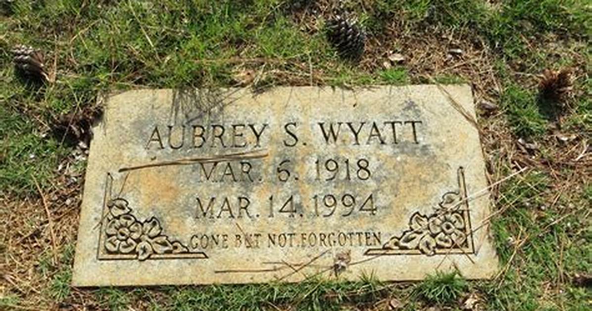 Uncovering the Identity of Aubrey Wyatt's Tormentors: Who Were His Bullies?