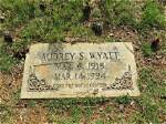 Uncovering the Identity of Aubrey Wyatt's Tormentors: Who Were His Bullies?