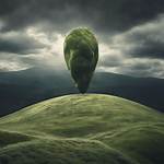 Uncovering the Intriguing World of Micah Hill