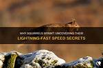 Uncovering the Secrets of Sprint Canoeing with Ivone Kowalczyk
