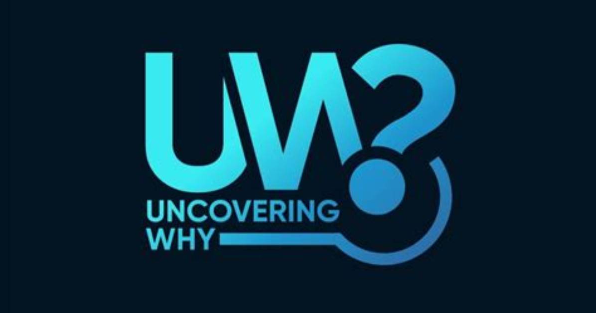 Uncovering the Why Behind the Loss