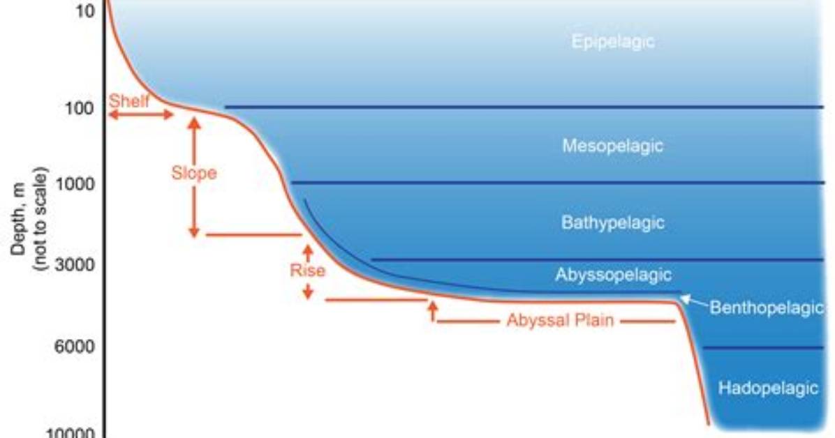 Understanding Al Weaver Relationships: Exploring the Depths of Connection
