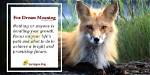 Understanding Meaning of Fox Dream - Interpretation and Symbolism