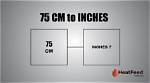 Understanding the Conversion of 19.5Cm to Inches