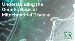 Understanding the Genetic Basis and Clinical Manifestations