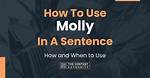 Understanding the Molly Noblitt Sentence: an in-Depth Analysis