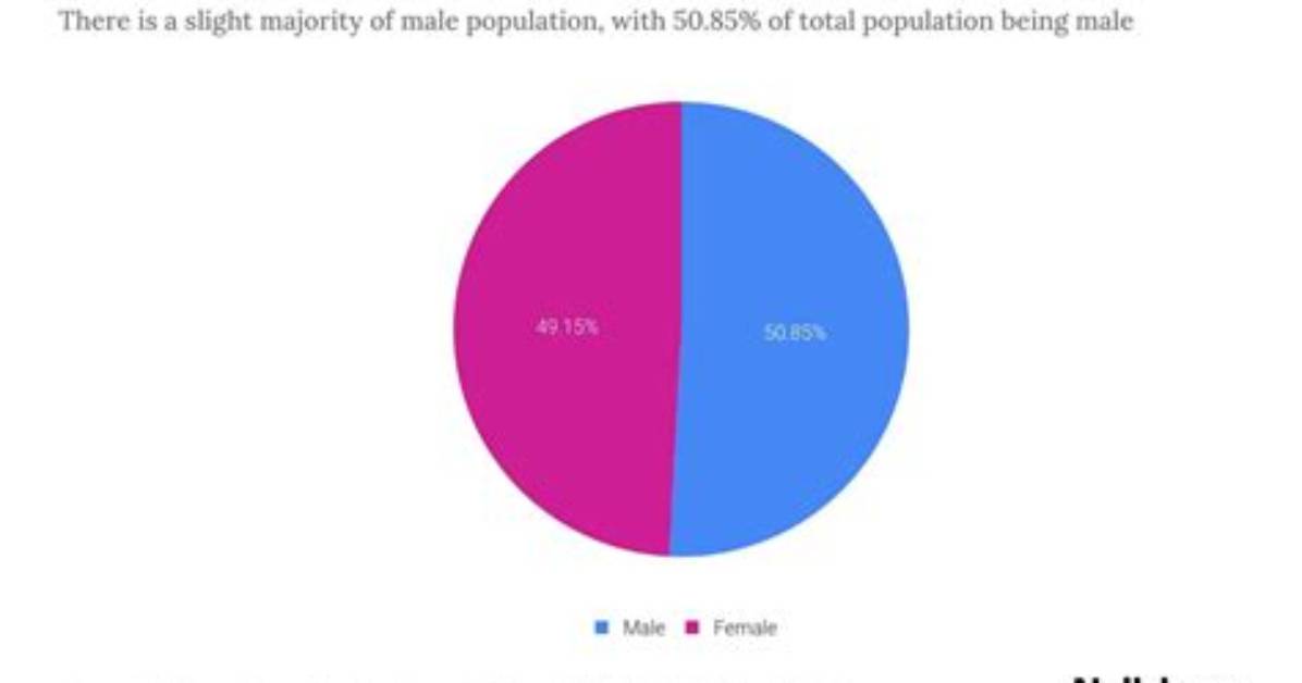 Understanding the Population of Ocean Springs, Ms