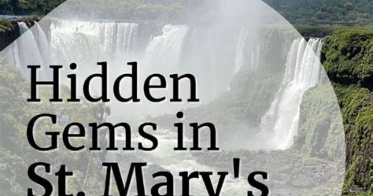 Unlock Hidden Gems and Insights: Explore Mary Burke's Youtube