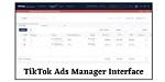 Unlocking the Power of Tiktok Ad Manager: Your Ultimate Guide