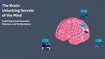 Unlocking the Secrets of "Brain Pepper"