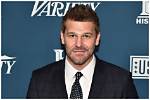 Unlocking the Secrets of David Boreanaz's Sculpted Physique