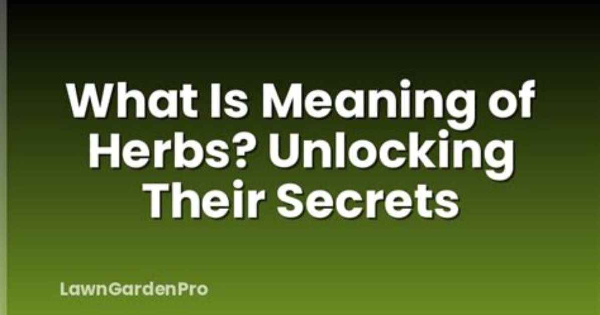 Unlocking the Secrets: Understanding Kracker Meaning