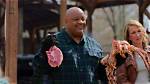 Unraveling the Bbq Showdown: Mary Fanto's Culinary Journey