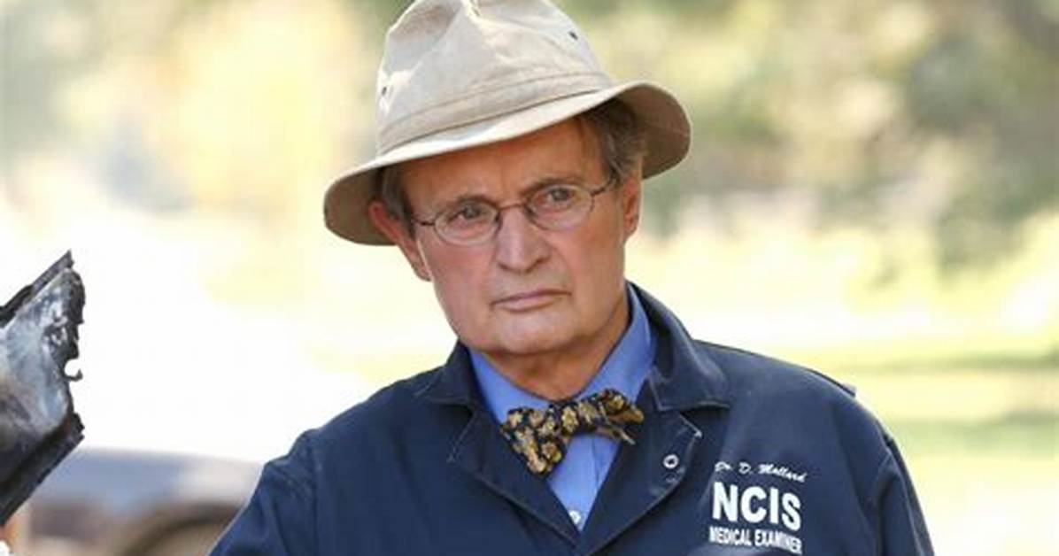 Unraveling the Charm of Ncis Ducky: a Closer Look at Dr. Donald Mallard