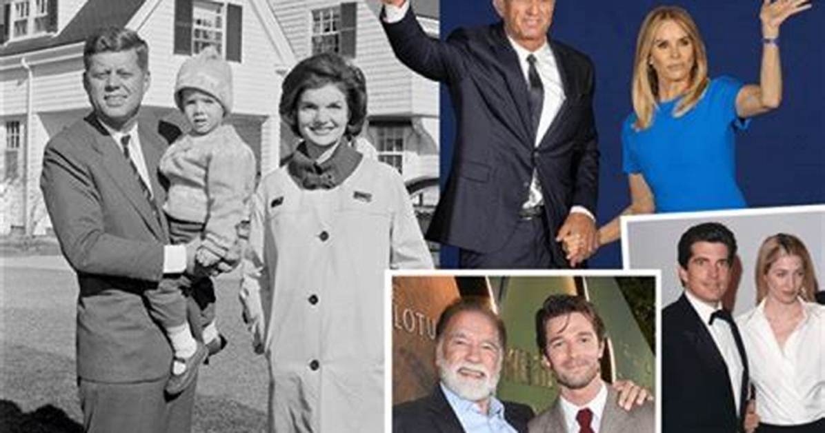 Unraveling the Legacy of Steve Lee