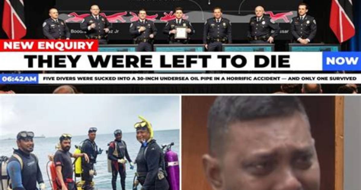 Unraveling the Tragic Shem Bowman Diving Accident: Lessons and Revelations