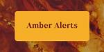 Unraveling the Truth Behind Amber Alerts: Is Amber Alert a True Story?