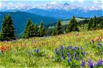 Unveil the Enchanting World of Beaver Creek Chophouse Through Captivating Photos